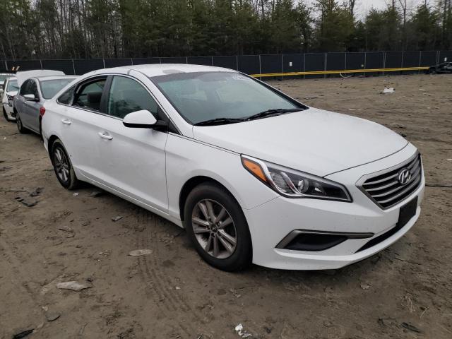 Photo 3 VIN: 5NPE24AF8GH282637 - HYUNDAI SONATA SE 