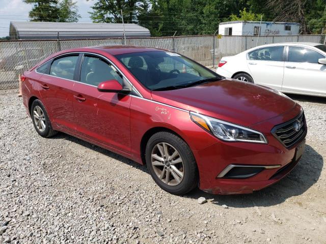 Photo 3 VIN: 5NPE24AF8GH291189 - HYUNDAI SONATA SE 