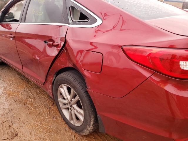 Photo 8 VIN: 5NPE24AF8GH298529 - HYUNDAI SONATA SE 