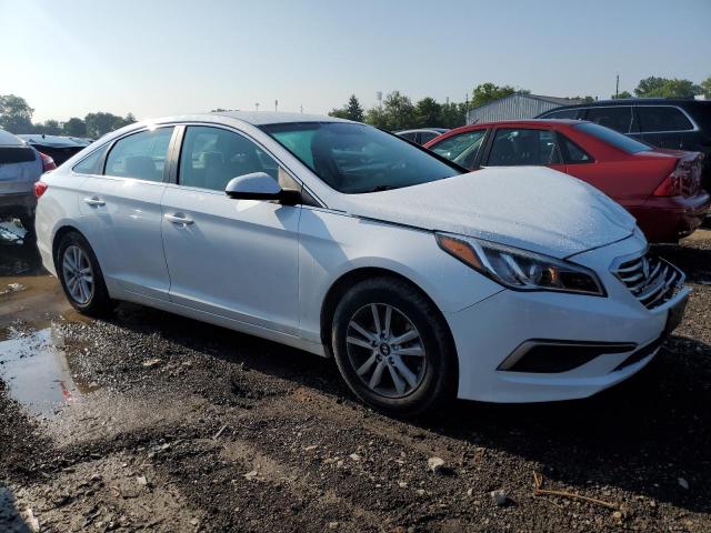 Photo 3 VIN: 5NPE24AF8GH299289 - HYUNDAI SONATA SE 