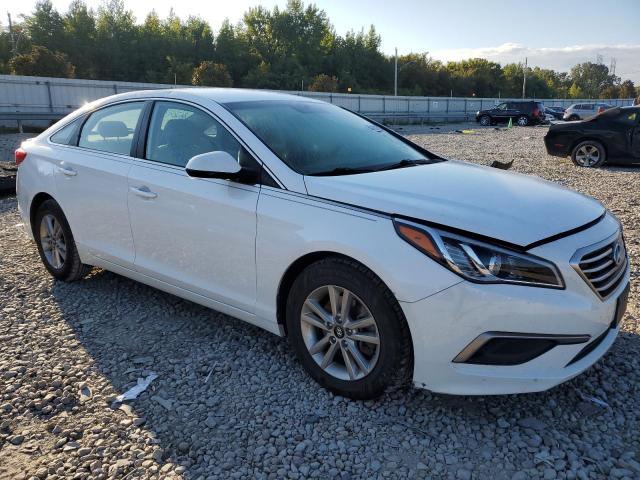 Photo 3 VIN: 5NPE24AF8GH299583 - HYUNDAI SONATA SE 