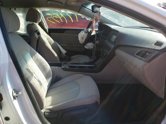 Photo 4 VIN: 5NPE24AF8GH299857 - HYUNDAI SONATA SE 