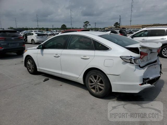 Photo 1 VIN: 5NPE24AF8GH316754 - HYUNDAI SONATA 