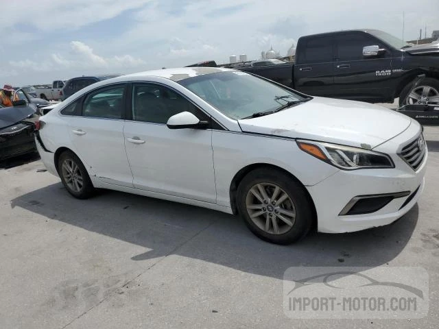 Photo 3 VIN: 5NPE24AF8GH316754 - HYUNDAI SONATA 