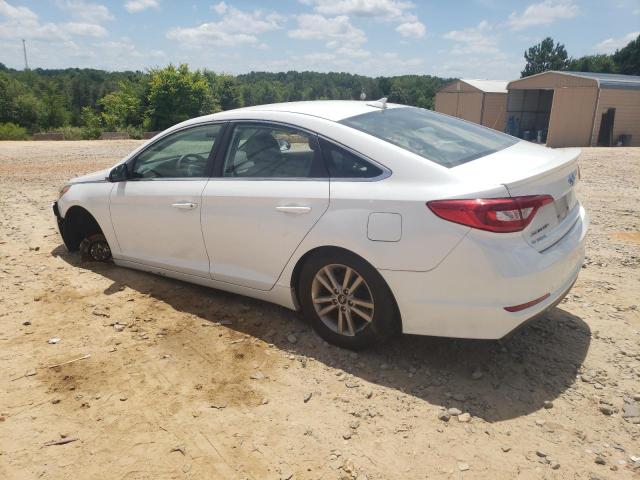 Photo 1 VIN: 5NPE24AF8GH318486 - HYUNDAI SONATA 