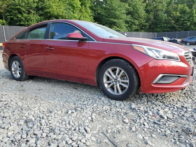 Photo 3 VIN: 5NPE24AF8GH323672 - HYUNDAI SONATA SE 