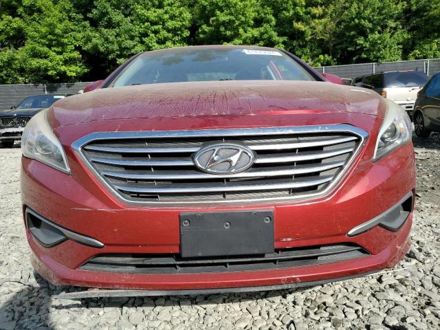 Photo 4 VIN: 5NPE24AF8GH323672 - HYUNDAI SONATA SE 