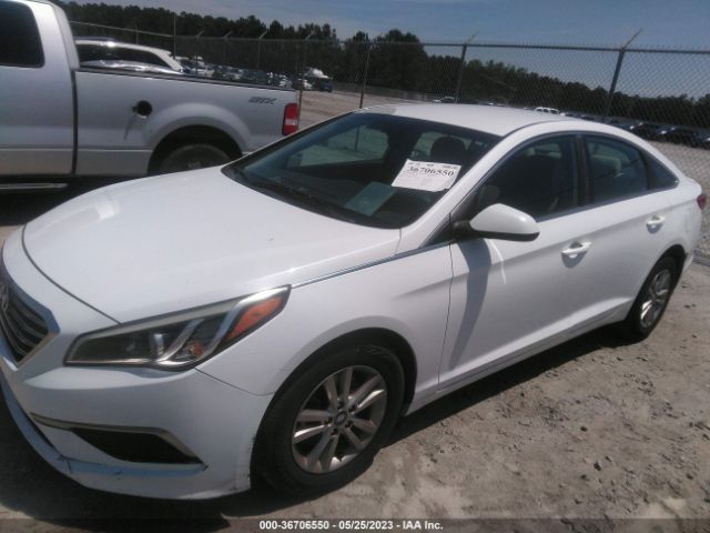 Photo 1 VIN: 5NPE24AF8GH341783 - HYUNDAI SONATA 