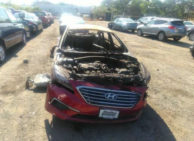 Photo 5 VIN: 5NPE24AF8GH346725 - HYUNDAI SONATA 