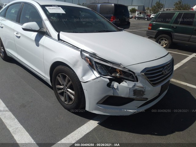 Photo 5 VIN: 5NPE24AF8GH348782 - HYUNDAI SONATA 