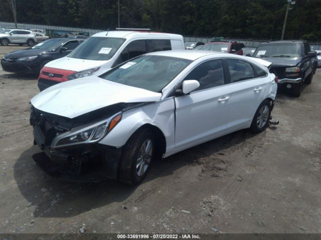 Photo 1 VIN: 5NPE24AF8GH359393 - HYUNDAI SONATA 