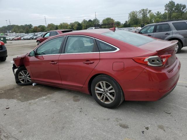 Photo 1 VIN: 5NPE24AF8GH365954 - HYUNDAI SONATA SE 