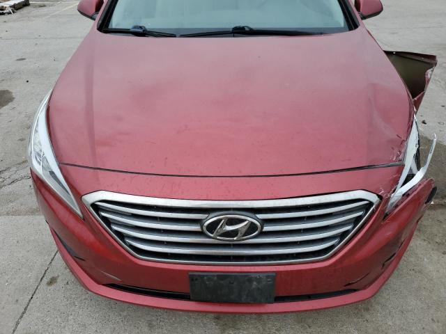 Photo 10 VIN: 5NPE24AF8GH365954 - HYUNDAI SONATA SE 