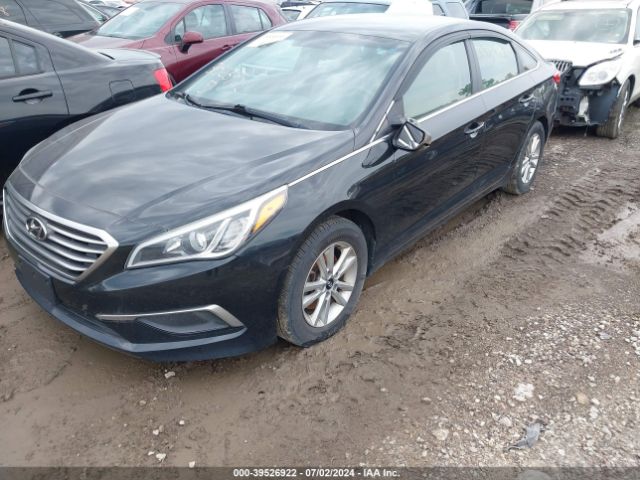 Photo 5 VIN: 5NPE24AF8GH368482 - HYUNDAI SONATA 