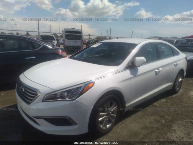 Photo 5 VIN: 5NPE24AF8GH379661 - HYUNDAI SONATA 