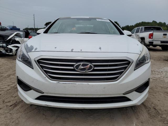 Photo 4 VIN: 5NPE24AF8GH382995 - HYUNDAI SONATA SE 