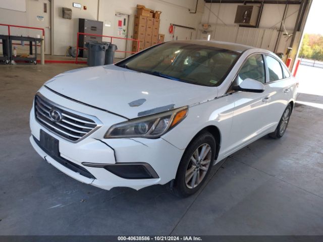 Photo 1 VIN: 5NPE24AF8GH384164 - HYUNDAI SONATA 