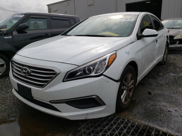 Photo 1 VIN: 5NPE24AF8GH387632 - HYUNDAI SONATA SE 