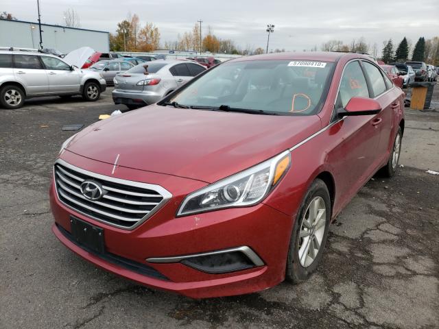 Photo 1 VIN: 5NPE24AF8GH397626 - HYUNDAI SONATA SE 