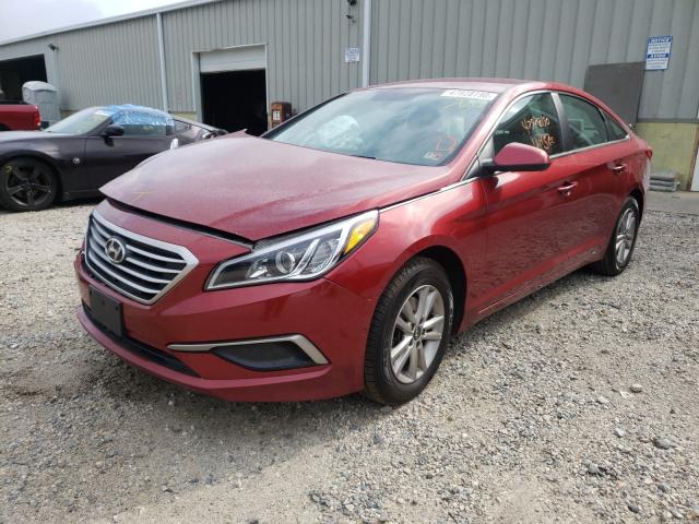 Photo 1 VIN: 5NPE24AF8GH404123 - HYUNDAI SONATA SE 