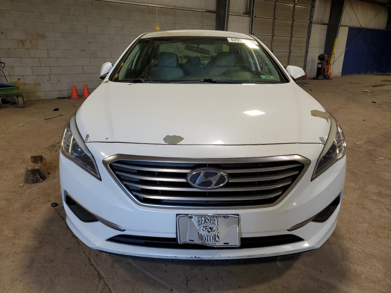 Photo 4 VIN: 5NPE24AF8GH407748 - HYUNDAI SONATA 