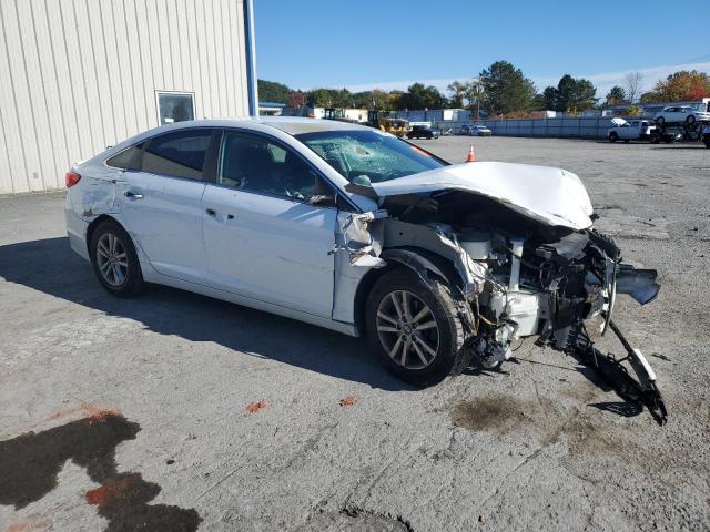 Photo 3 VIN: 5NPE24AF8GH410455 - HYUNDAI SONATA SE 