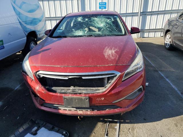 Photo 4 VIN: 5NPE24AF8GH433458 - HYUNDAI SONATA 