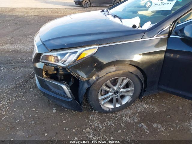 Photo 5 VIN: 5NPE24AF8HH469734 - HYUNDAI SONATA 