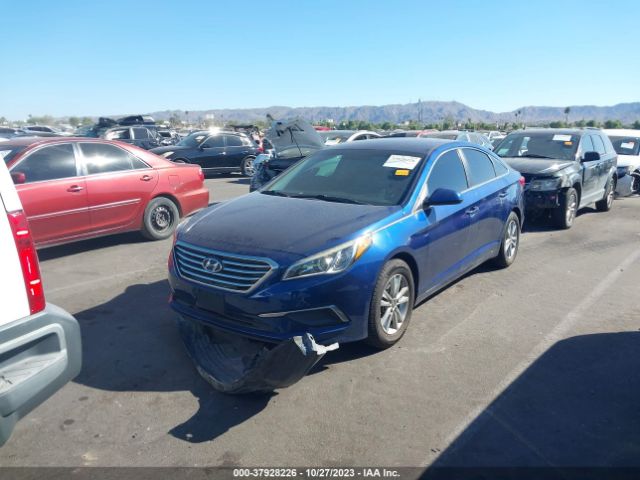 Photo 5 VIN: 5NPE24AF8HH491894 - HYUNDAI SONATA 