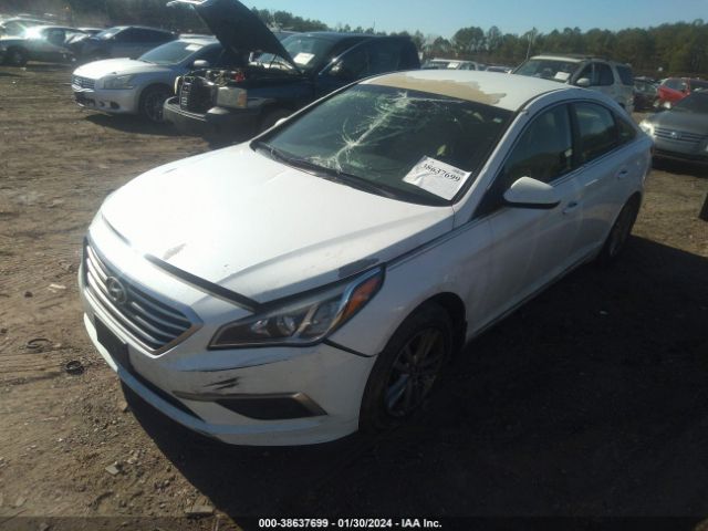 Photo 1 VIN: 5NPE24AF8HH496903 - HYUNDAI SONATA 