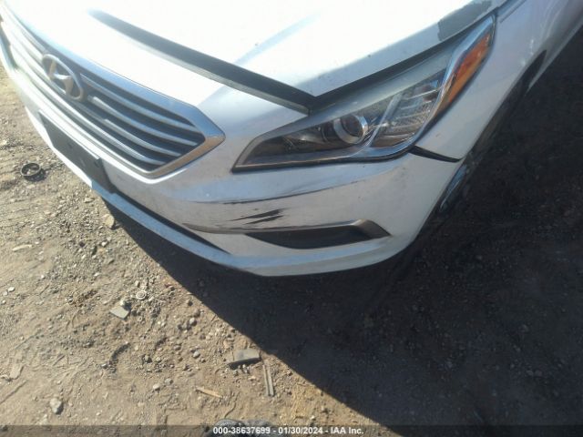 Photo 5 VIN: 5NPE24AF8HH496903 - HYUNDAI SONATA 