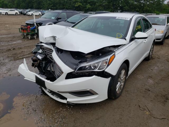 Photo 1 VIN: 5NPE24AF8HH509312 - HYUNDAI SONATA SE 