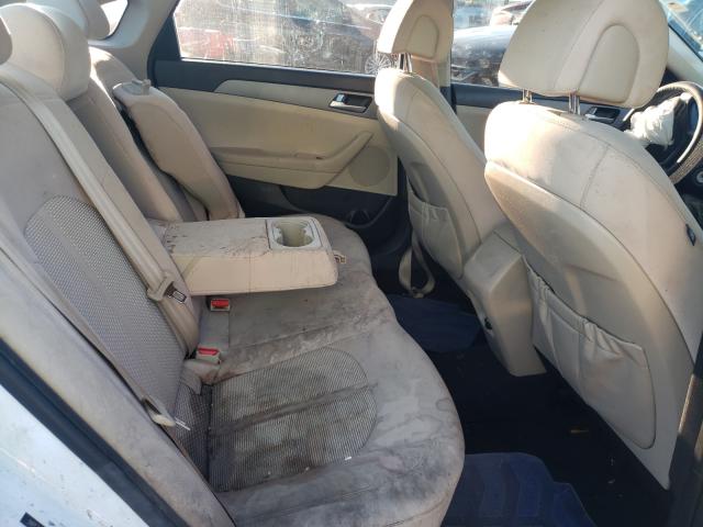 Photo 5 VIN: 5NPE24AF8HH511304 - HYUNDAI SONATA SE 