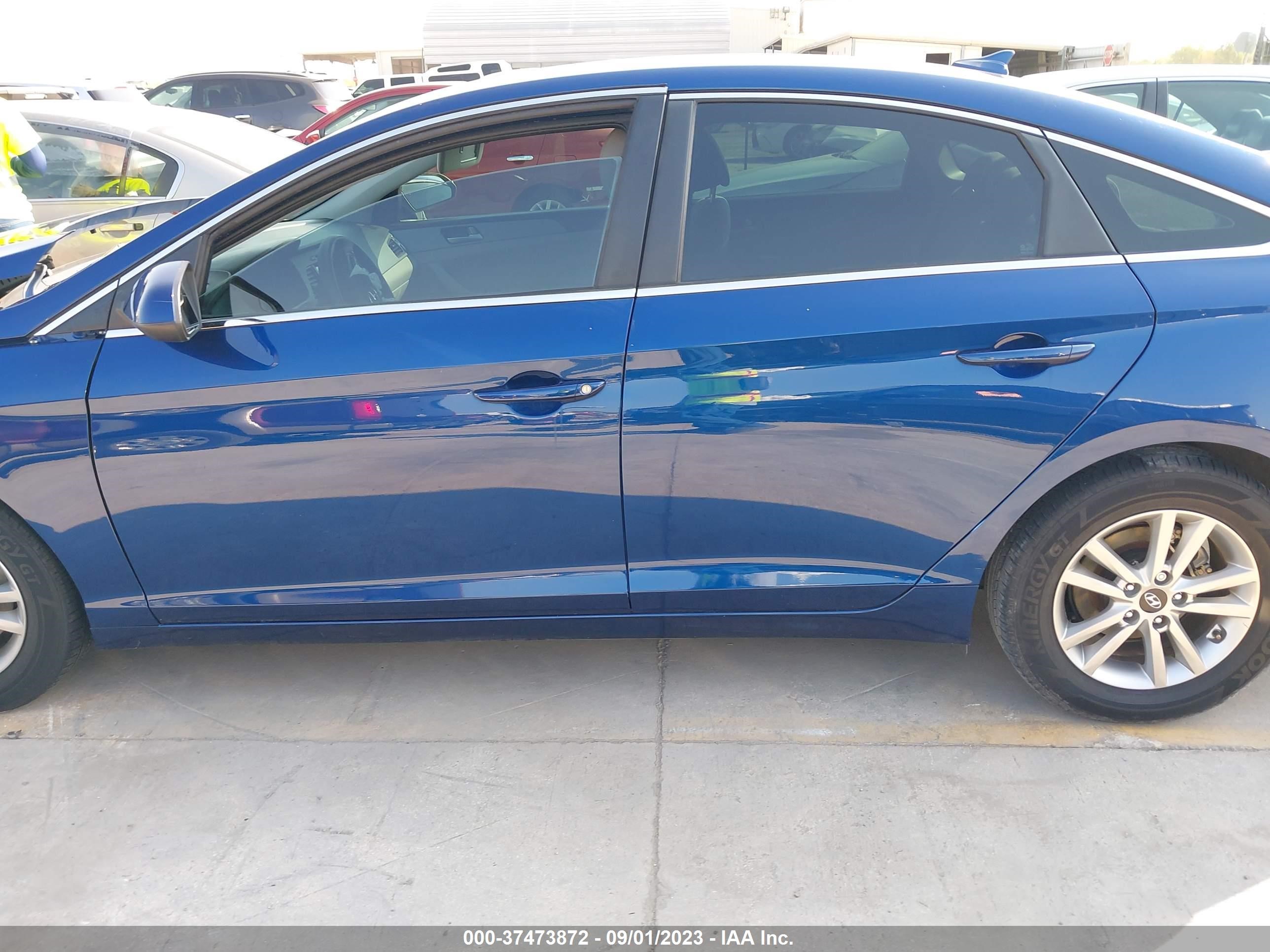 Photo 14 VIN: 5NPE24AF8HH524781 - HYUNDAI SONATA 