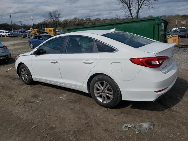 Photo 1 VIN: 5NPE24AF8HH537238 - HYUNDAI SONATA SE 