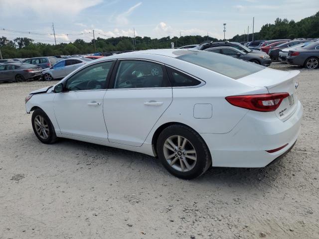 Photo 1 VIN: 5NPE24AF8HH540141 - HYUNDAI SONATA SE 