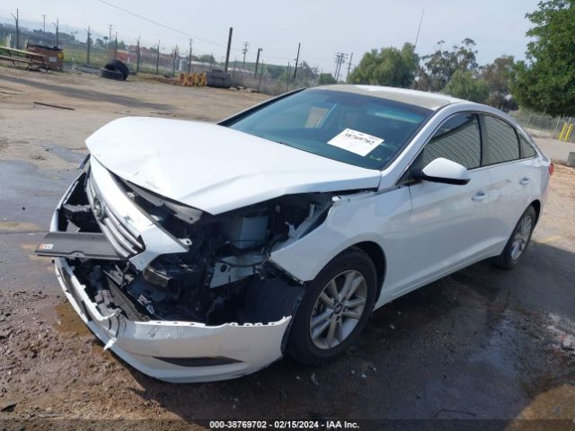 Photo 1 VIN: 5NPE24AF8HH543511 - HYUNDAI SONATA 