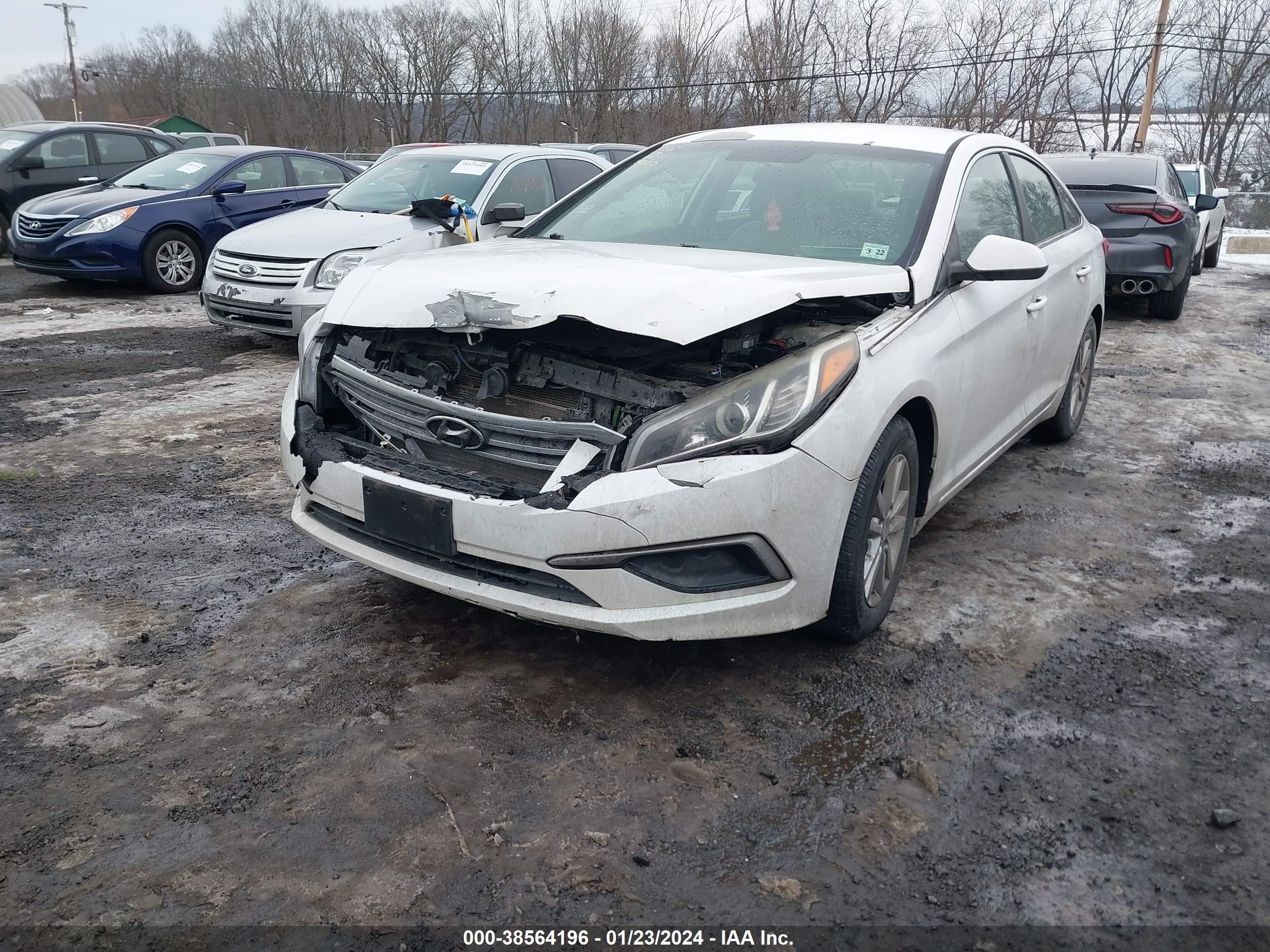 Photo 5 VIN: 5NPE24AF8HH547817 - HYUNDAI SONATA 