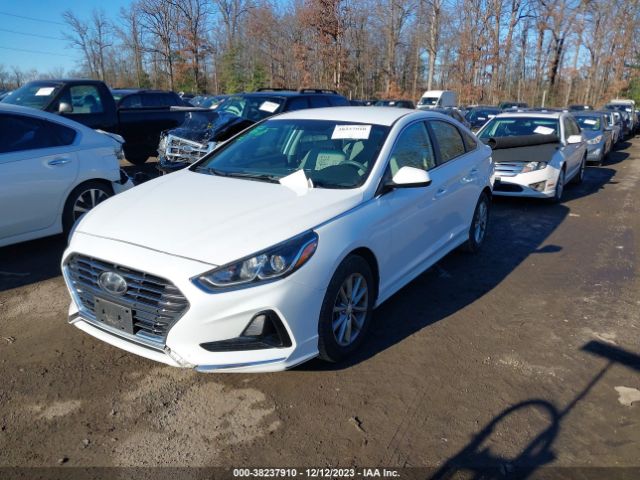 Photo 1 VIN: 5NPE24AF8JH623865 - HYUNDAI SONATA 