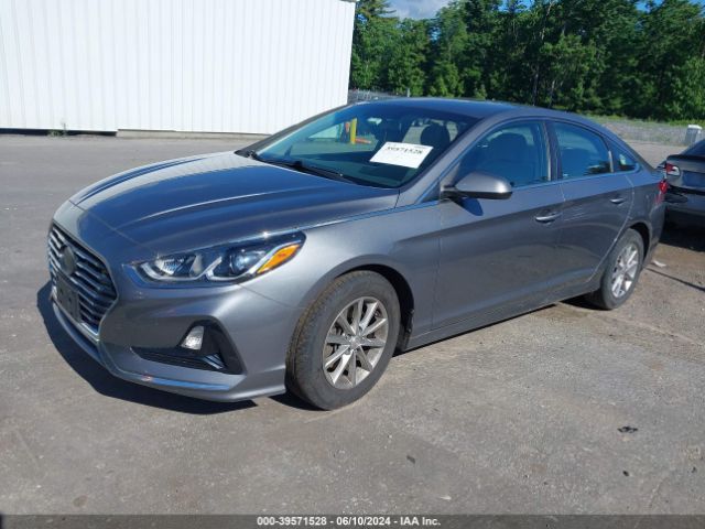 Photo 1 VIN: 5NPE24AF8JH684195 - HYUNDAI SONATA 