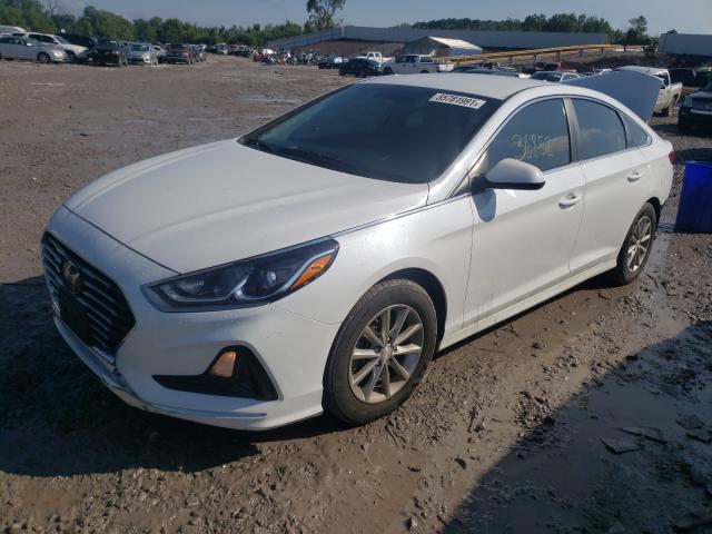 Photo 1 VIN: 5NPE24AF8JH704509 - HYUNDAI SONATA SE 