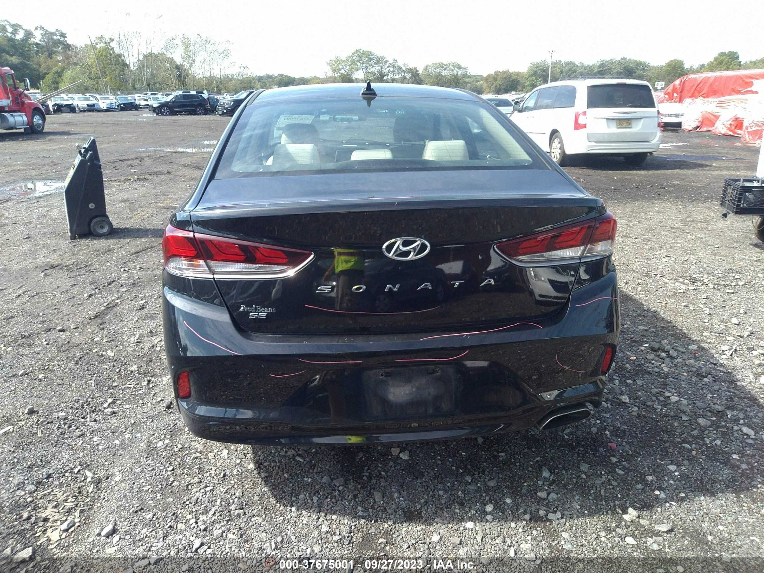 Photo 16 VIN: 5NPE24AF8KH726950 - HYUNDAI SONATA 