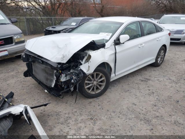 Photo 1 VIN: 5NPE24AF8KH758569 - HYUNDAI SONATA 