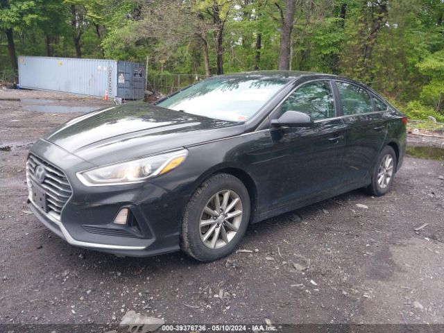 Photo 1 VIN: 5NPE24AF8KH780393 - HYUNDAI SONATA 