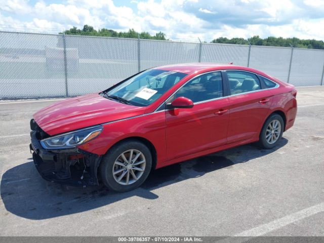 Photo 1 VIN: 5NPE24AF8KH784542 - HYUNDAI SONATA 