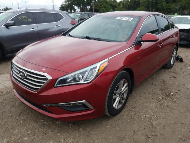 Photo 1 VIN: 5NPE24AF9FH146905 - HYUNDAI SONATA 