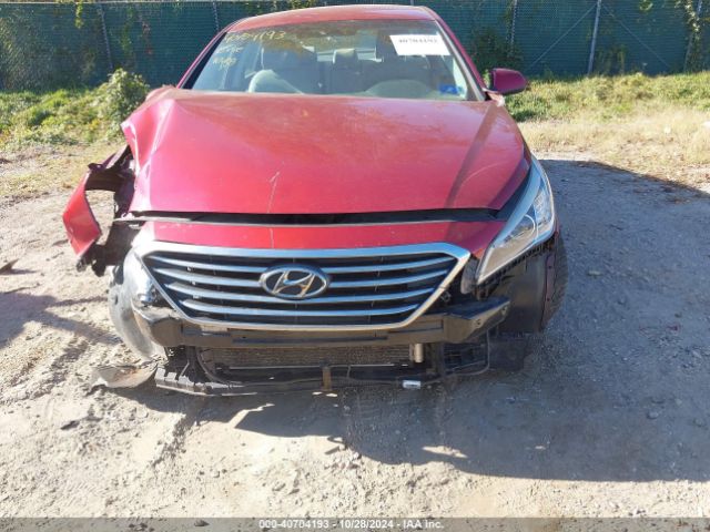 Photo 5 VIN: 5NPE24AF9FH191777 - HYUNDAI SONATA 