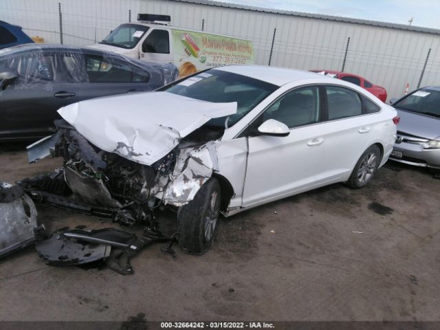 Photo 1 VIN: 5NPE24AF9GH262851 - HYUNDAI SONATA 