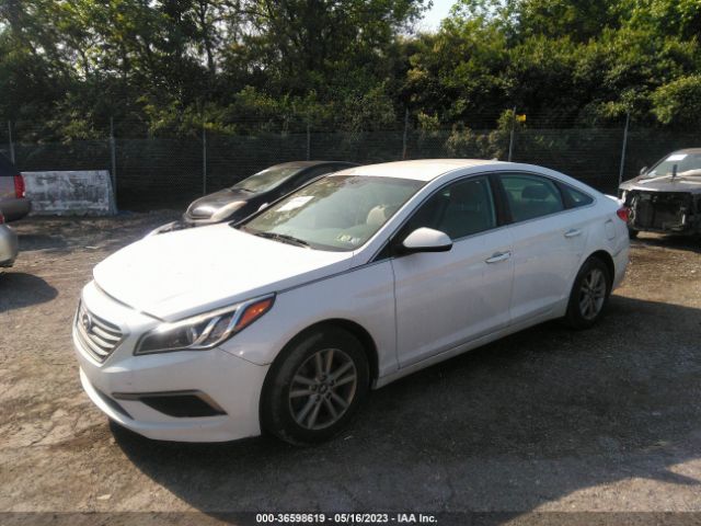 Photo 1 VIN: 5NPE24AF9GH290083 - HYUNDAI SONATA 