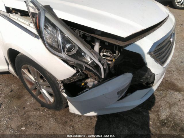 Photo 5 VIN: 5NPE24AF9GH290083 - HYUNDAI SONATA 